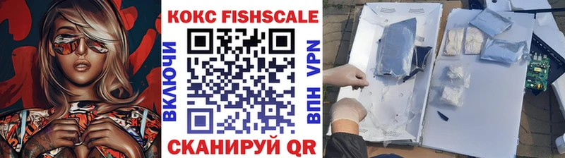 Купить закладки  Починок  COCAIN VHQ 