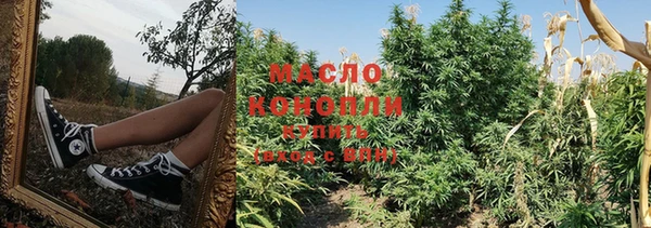 крисы Дмитров