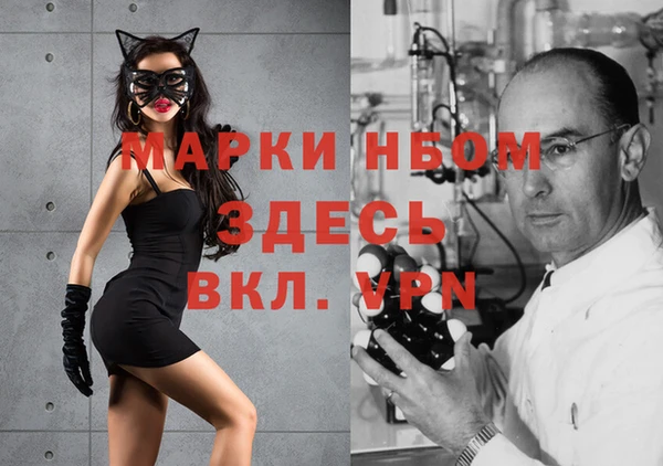 крисы Дмитров