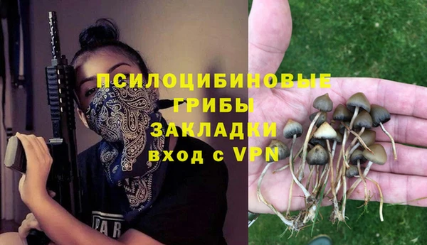 бошки Дмитровск