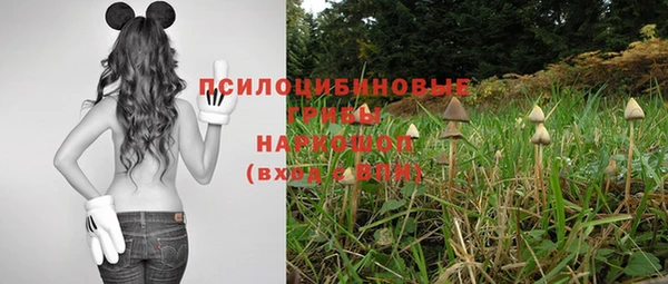 бошки Дмитровск
