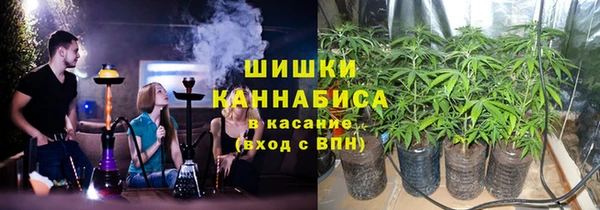 крисы Дмитров