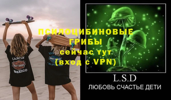 Альфа ПВП Дмитриев
