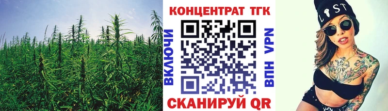 Купить где  Починок  Дистиллят ТГК концентрат 