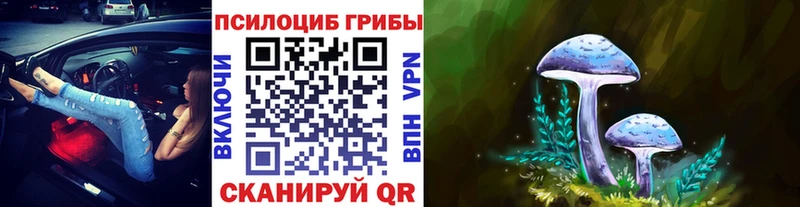 Купить где  Починок  Галлюциногенные грибы мицелий 